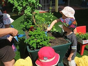 Noosaville Child Care & Preschool Centre - Click Find 2