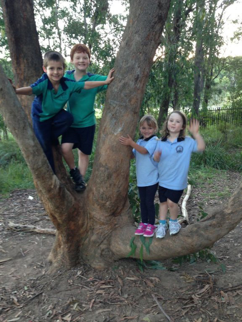 Merewether Heights OOSH & Vacation Care - Click Find 10