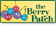 Berry Patch Preschool - Click Find
