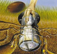 Natural Pest Control - Click Find
