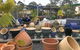 Golden City Brick & Landscape–Gympie - thumb 0