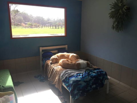 Tarraray Pet Retreat - Click Find 6