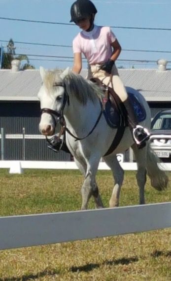 Concise Equestrian Centre - Click Find 2