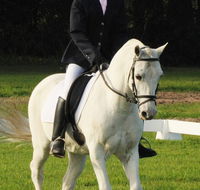 Encantador The Riding School - Click Find