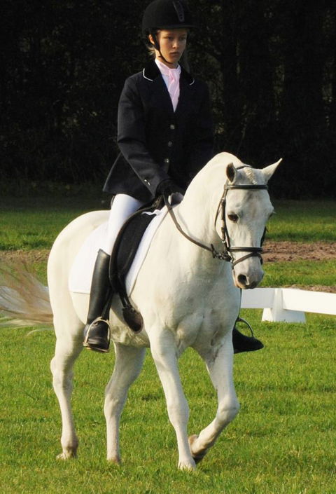 Encantador The Riding School - Click Find 0