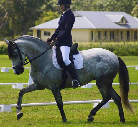 Encantador The Riding School - Click Find 1