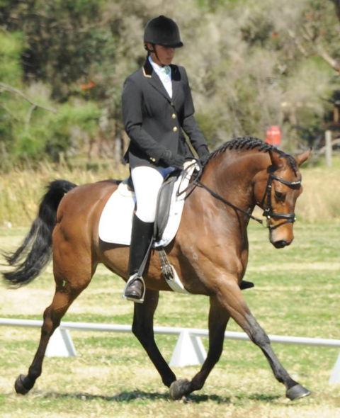 Encantador The Riding School - Click Find 4