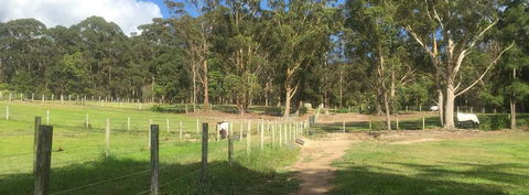 Merrypark Equestrian Centre - Click Find 0