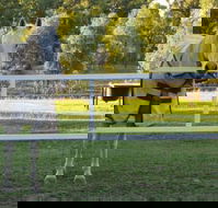 Townsville Agistment - Click Find