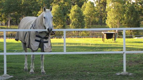 Townsville Agistment - Bridge Guide 0