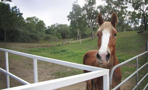 Townsville Agistment - Bridge Guide 2