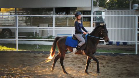 Townsville Agistment - Bridge Guide 4