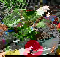 Noosaville Child Care  Preschool Centre - Click Find