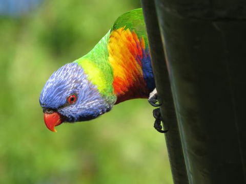 Elite Edge Sports & Learning Centre - Click Find 2