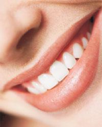 Future Dental - Click Find 0