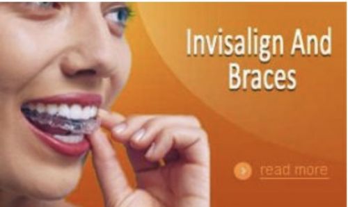 Horse Dentists Mackay QLD Click Find