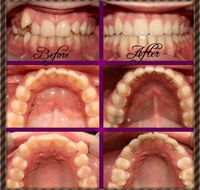 Coral Coast Dental - Local Finder