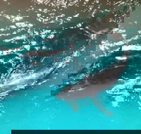 Ningaloo Lodge Exmouth - Bet 4u