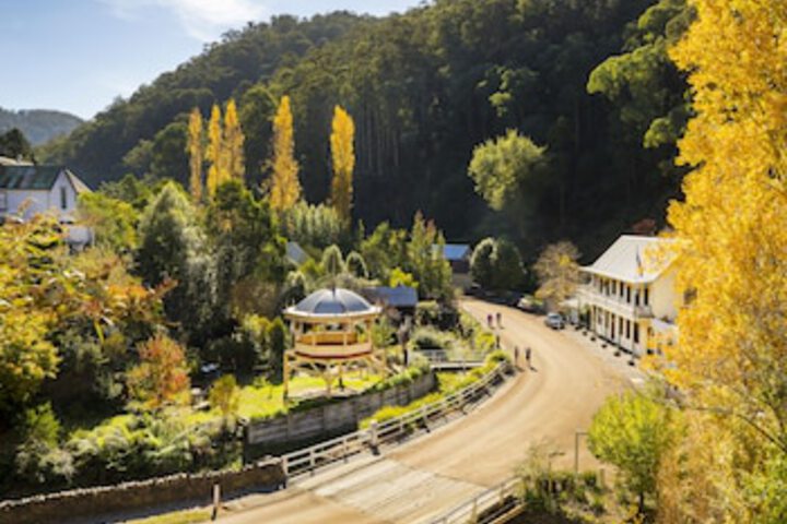 Thomson VIC Bridge Guide