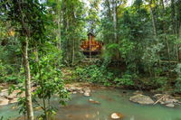 The Canopy Rainforest Treehouses and Wildlife Sanctuary