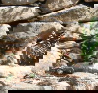 Jenolan Caves House - Click Find