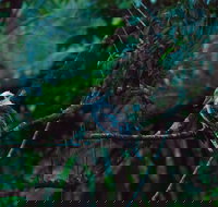 Broken River Mountain Resort - Bet 4u