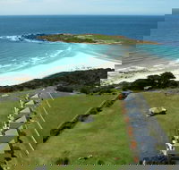 Diamond Island Resort  Bicheno Penguin Show - Lavinia