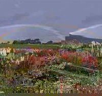 Boat Harbour Garden Cottages - DBD