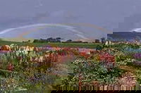 Boat Harbour Garden Cottages