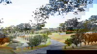 voco Kirkton Park Hunter Valley  an IHG Hotel