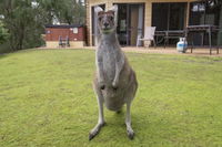 Yelverton Brook Conservation Sanctuary