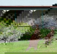 Cedar Lodge Cabins - Local Finder