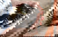 Margaret River Hideaway