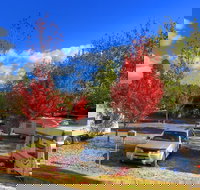 Beechworth Lake Sambell Caravan Park - Bet 4u