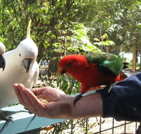 Lorne Bush House Cottages Eco Retreats - Click Find