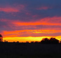 Centretown Motel Nagambie - Click Find