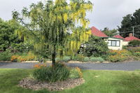 Business in Fentonbury TAS Click Find Click Find