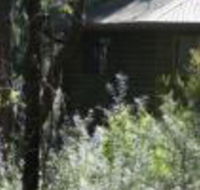 Twin Falls Bush Cottages - Bet 4u