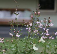 Serendipity on Allyn - Click Find