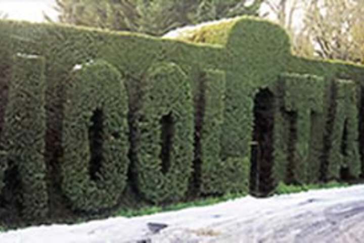 Sailors Falls VIC Bet 4u