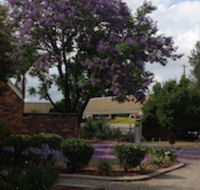 Belvoir Village Motel  Apartments Wodonga - Bet 4u