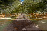 Business in Barrington TAS Click Find Click Find