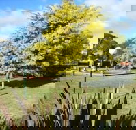 Bairnsdale Main Motel - Bet 4u