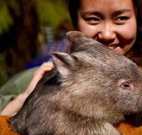 Fauna Australia Wildlife Retreat - Click Find