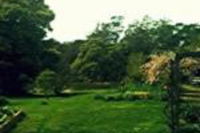 Birdwing Bed Breakfast Weegena