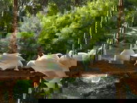 The Burrow At Wombat Bend