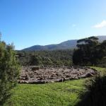 Bornes Hill ACT Click Find