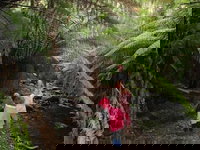 12 Apostles Cottages