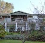 Sea Banksia - Click Find
