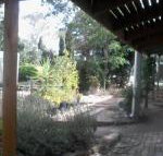 Friends in Harcourt North - Bet 4u